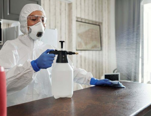 Tiszta otthon, tiszta élet – hogyan befolyásolja a lakókörnyezetünk a közérzetünket?